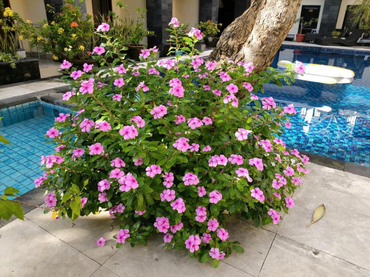 Radha Bali Hotel Кута Экстерьер фото