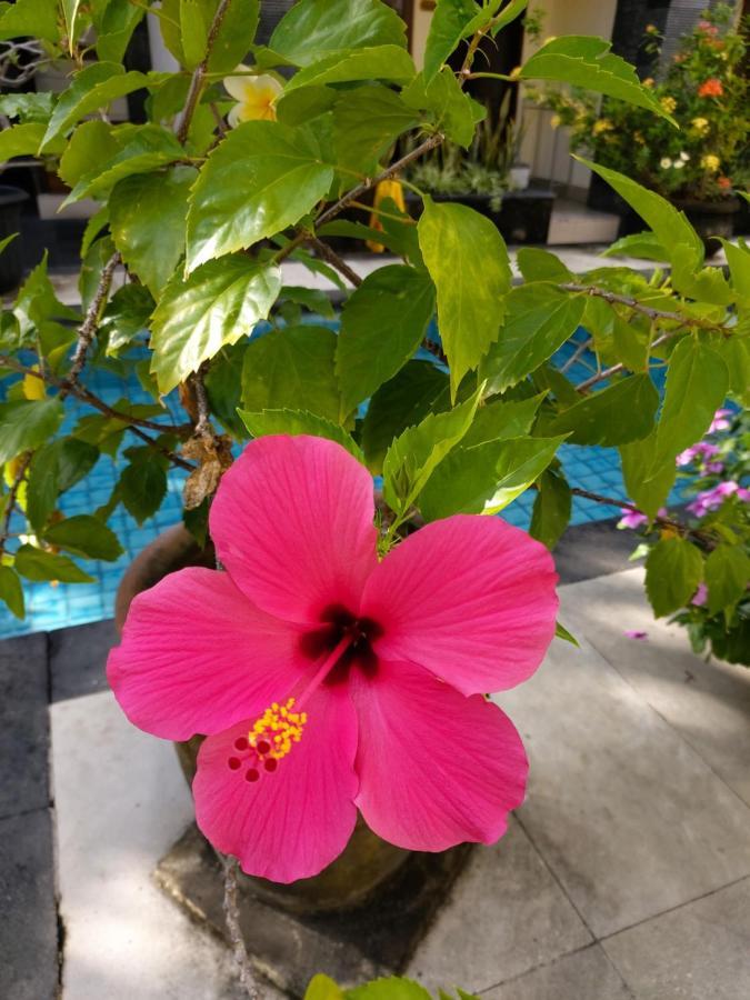 Radha Bali Hotel Кута Экстерьер фото